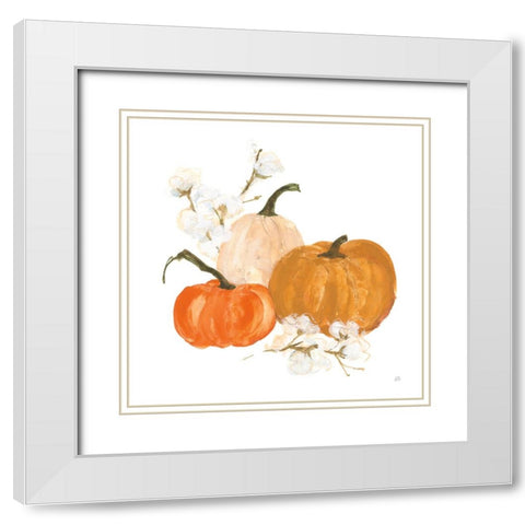 Pumpkins and Cotton II White Modern Wood Framed Art Print with Double Matting by Paschke, Chris