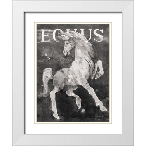 Equus Stallion BW White Modern Wood Framed Art Print with Double Matting by Hristova, Albena