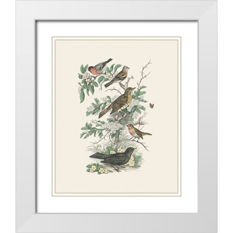 Honeybloom Bird I White Modern Wood Framed Art Print with Double Matting by Wild Apple Portfolio