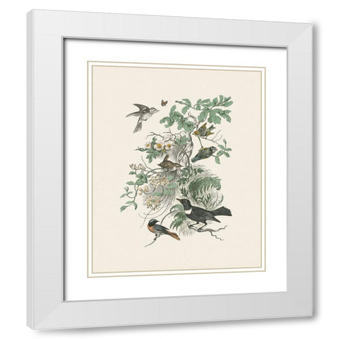 Honeybloom Bird II White Modern Wood Framed Art Print with Double Matting by Wild Apple Portfolio