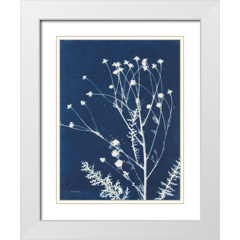 Alpine Flower IV White Modern Wood Framed Art Print with Double Matting by Ferguson, Kathy