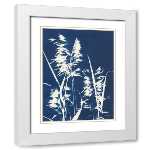 Ornamental Grass VI White Modern Wood Framed Art Print with Double Matting by Ferguson, Kathy