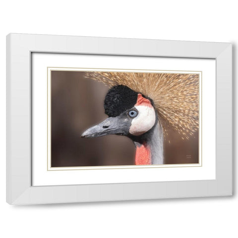 African Crowned Crane White Modern Wood Framed Art Print with Double Matting by Larson, Nathan