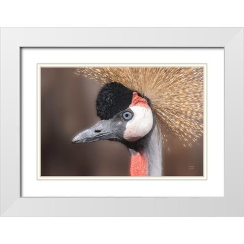 African Crowned Crane White Modern Wood Framed Art Print with Double Matting by Larson, Nathan