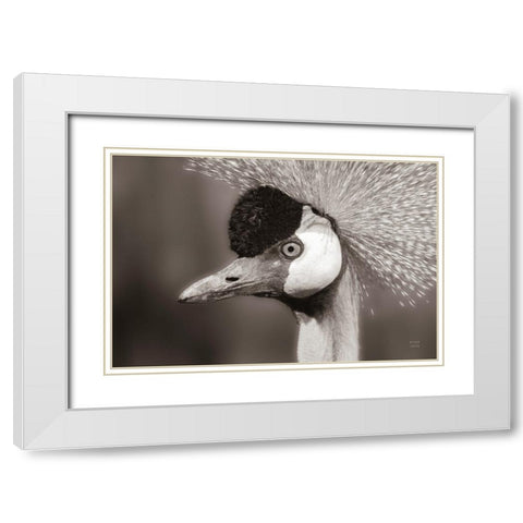 Sepia White Modern Wood Framed Art Print with Double Matting by Larson, Nathan