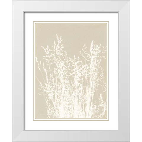 Ornamental Grass I Neutral White Modern Wood Framed Art Print with Double Matting by Ferguson, Kathy