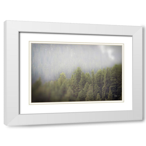 Northern Forests White Modern Wood Framed Art Print with Double Matting by Larson, Nathan