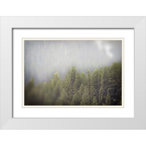 Northern Forests White Modern Wood Framed Art Print with Double Matting by Larson, Nathan