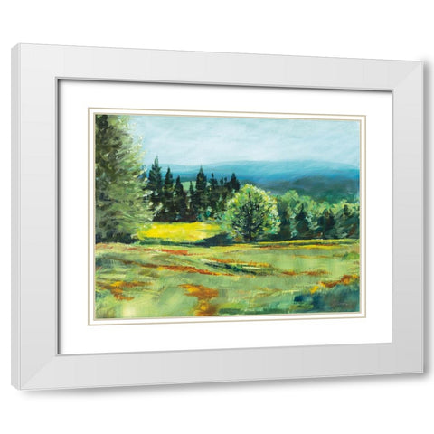 Pocket Meadow White Modern Wood Framed Art Print with Double Matting by Schlabach, Sue