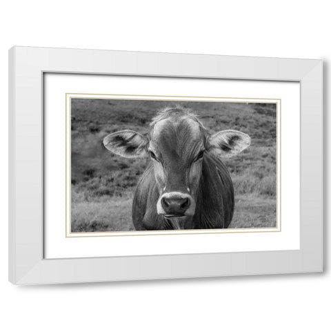 Dairy Barn BW White Modern Wood Framed Art Print with Double Matting by Larson, Nathan