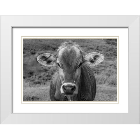 Dairy Barn BW White Modern Wood Framed Art Print with Double Matting by Larson, Nathan