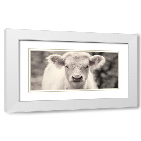 White Calf Panel White Modern Wood Framed Art Print with Double Matting by Larson, Nathan
