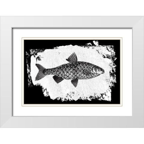 Fish I White Modern Wood Framed Art Print with Double Matting by Adams, Sarah
