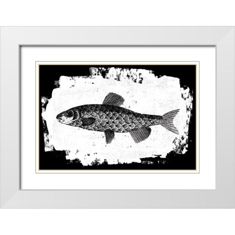 Fish II White Modern Wood Framed Art Print with Double Matting by Adams, Sarah