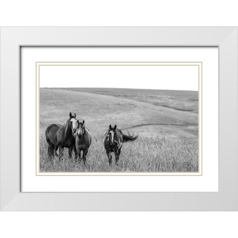 Montana Moves v2 White Modern Wood Framed Art Print with Double Matting by Larson, Nathan