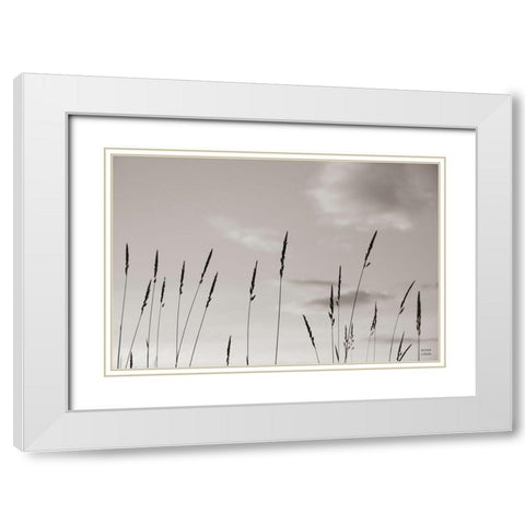 Grasslands White Modern Wood Framed Art Print with Double Matting by Larson, Nathan