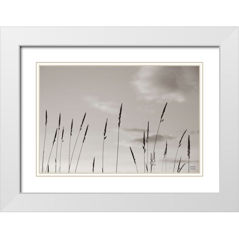 Grasslands White Modern Wood Framed Art Print with Double Matting by Larson, Nathan