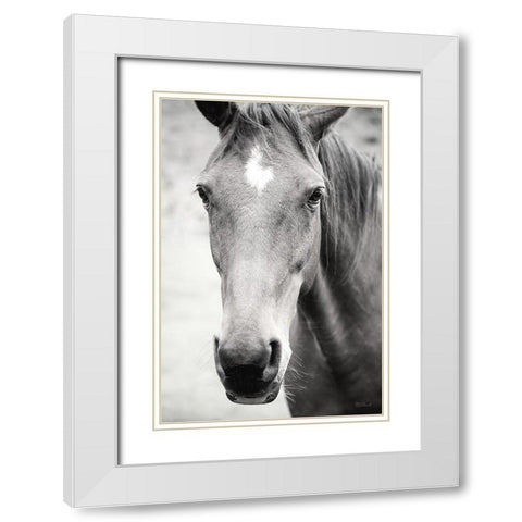 Moke Lake Horses I White Modern Wood Framed Art Print with Double Matting by Marshall, Laura