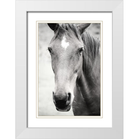 Moke Lake Horses I White Modern Wood Framed Art Print with Double Matting by Marshall, Laura