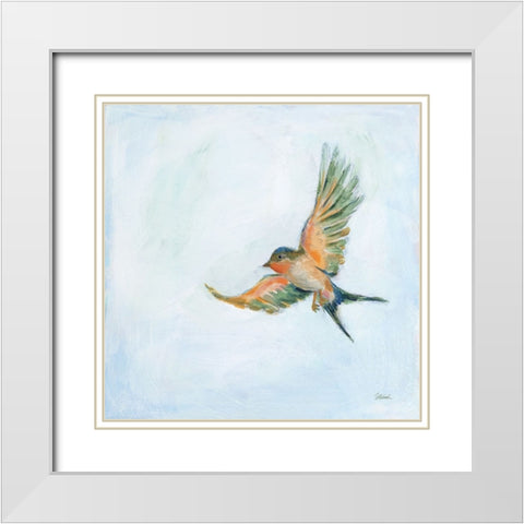 Barn Swallow Flight III White Modern Wood Framed Art Print with Double Matting by Schlabach, Sue