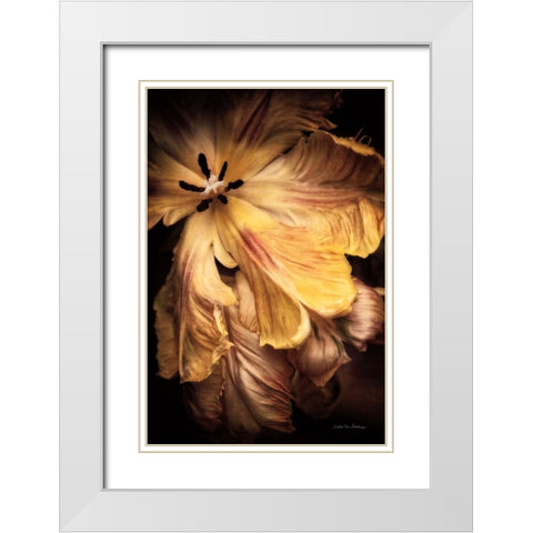 Tulip Detail I White Modern Wood Framed Art Print with Double Matting by Van Swearingen, Debra