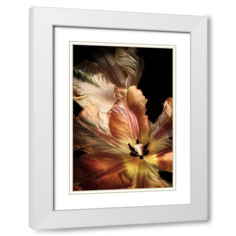 Tulip Detail IV White Modern Wood Framed Art Print with Double Matting by Van Swearingen, Debra