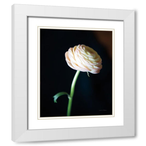 Single Ranunculus I White Modern Wood Framed Art Print with Double Matting by Van Swearingen, Debra