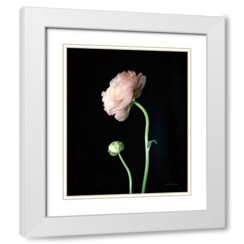 Single Ranunculus II White Modern Wood Framed Art Print with Double Matting by Van Swearingen, Debra
