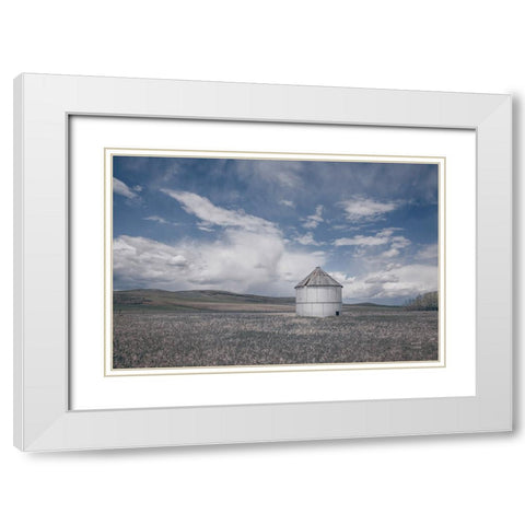 Sunny Pastures White Modern Wood Framed Art Print with Double Matting by Larson, Nathan