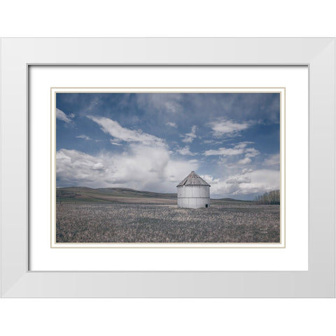 Sunny Pastures White Modern Wood Framed Art Print with Double Matting by Larson, Nathan