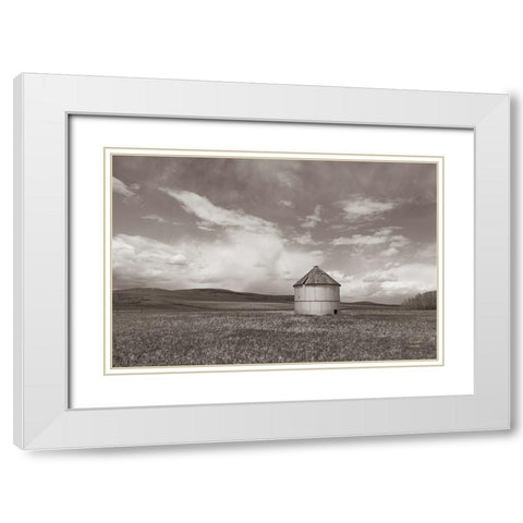 Sunny Pastures BW White Modern Wood Framed Art Print with Double Matting by Larson, Nathan