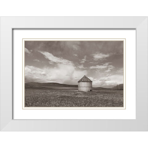 Sunny Pastures BW White Modern Wood Framed Art Print with Double Matting by Larson, Nathan