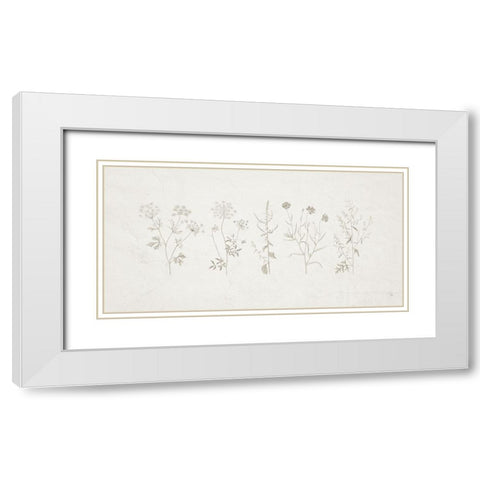 Gifts from the Meadow  I White Modern Wood Framed Art Print with Double Matting by Adams, Sarah