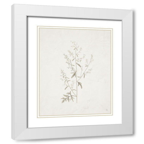 Gifts from the Meadow II White Modern Wood Framed Art Print with Double Matting by Adams, Sarah