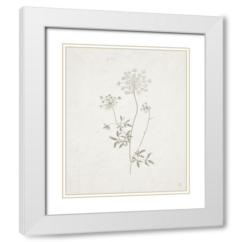 Gifts from the Meadow III White Modern Wood Framed Art Print with Double Matting by Adams, Sarah