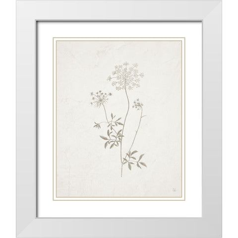 Gifts from the Meadow III White Modern Wood Framed Art Print with Double Matting by Adams, Sarah
