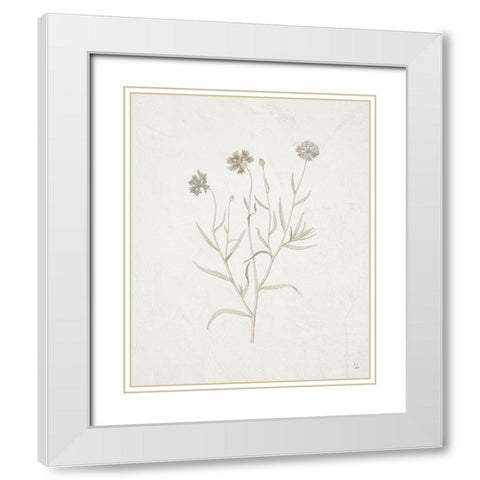 Gifts from the Meadow V White Modern Wood Framed Art Print with Double Matting by Adams, Sarah