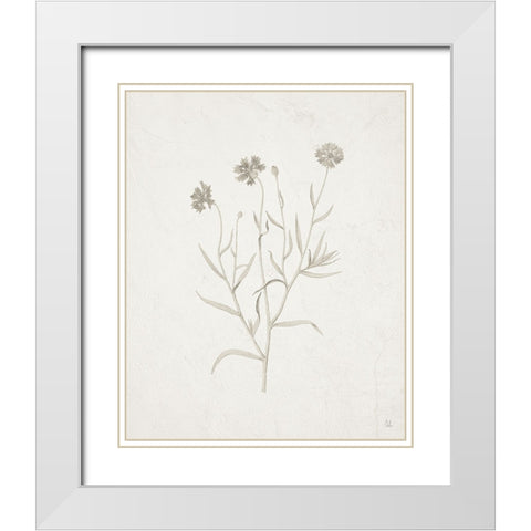 Gifts from the Meadow V White Modern Wood Framed Art Print with Double Matting by Adams, Sarah