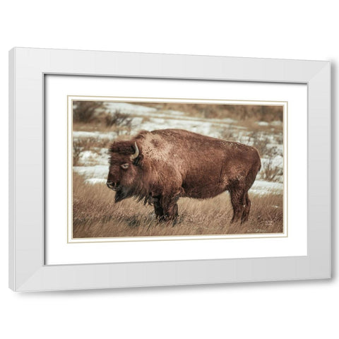 Solitary White Modern Wood Framed Art Print with Double Matting by Larson, Nathan