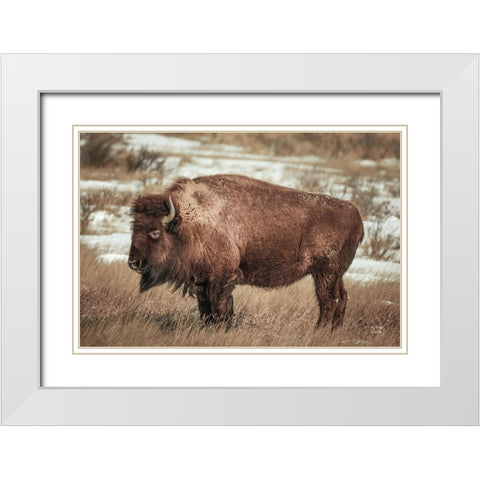 Solitary White Modern Wood Framed Art Print with Double Matting by Larson, Nathan