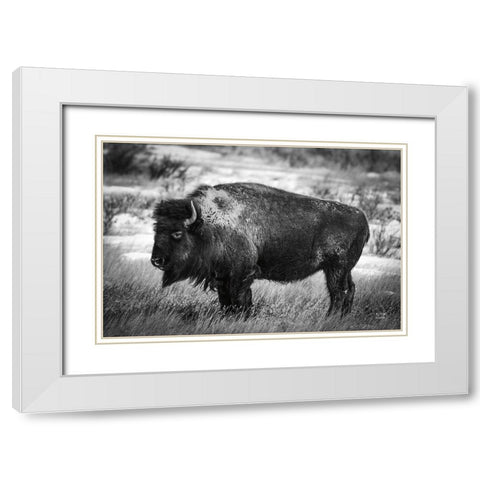 Solitary BW White Modern Wood Framed Art Print with Double Matting by Larson, Nathan