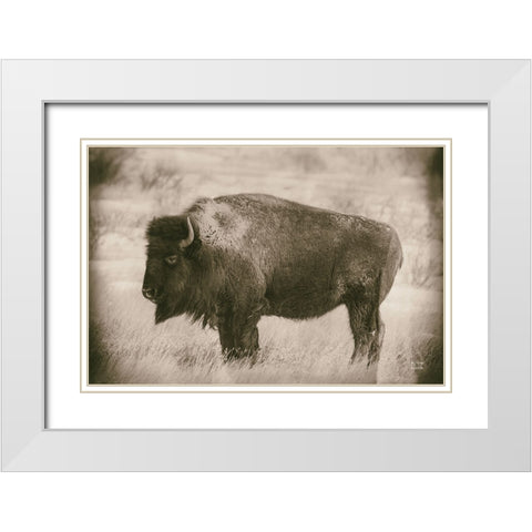 Solitary Sepia White Modern Wood Framed Art Print with Double Matting by Larson, Nathan