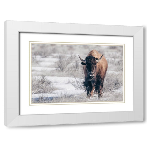 Bison Beauty White Modern Wood Framed Art Print with Double Matting by Larson, Nathan