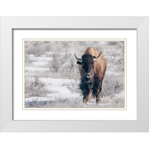 Bison Beauty White Modern Wood Framed Art Print with Double Matting by Larson, Nathan