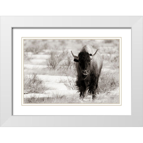 Bison Beauty BW White Modern Wood Framed Art Print with Double Matting by Larson, Nathan