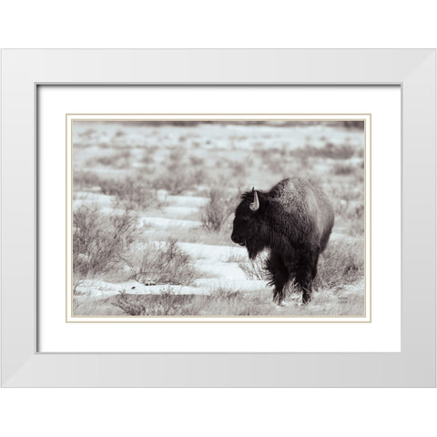 Lookout BW White Modern Wood Framed Art Print with Double Matting by Larson, Nathan