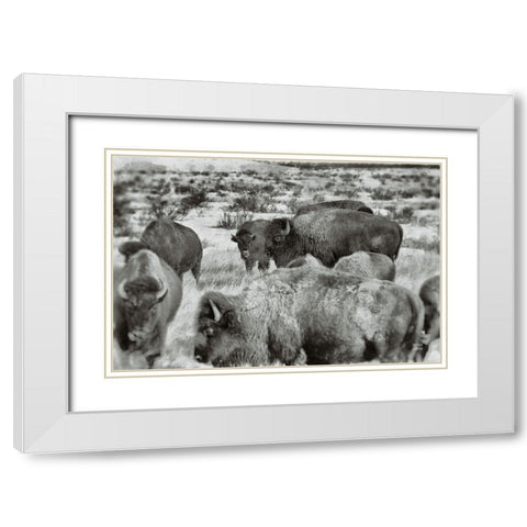 Open Range I White Modern Wood Framed Art Print with Double Matting by Larson, Nathan
