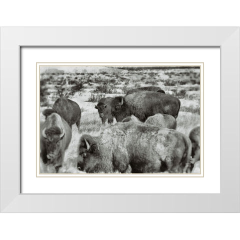 Open Range I White Modern Wood Framed Art Print with Double Matting by Larson, Nathan