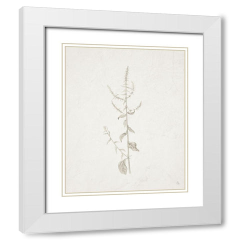Gifts from the Meadow VI White Modern Wood Framed Art Print with Double Matting by Adams, Sarah