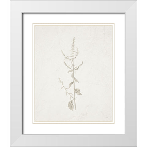 Gifts from the Meadow VI White Modern Wood Framed Art Print with Double Matting by Adams, Sarah